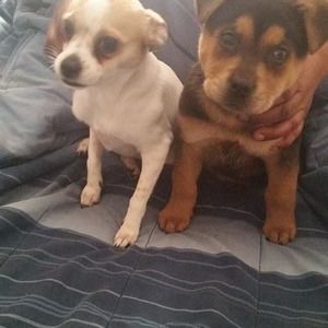 Meet your Posher, Beatrice